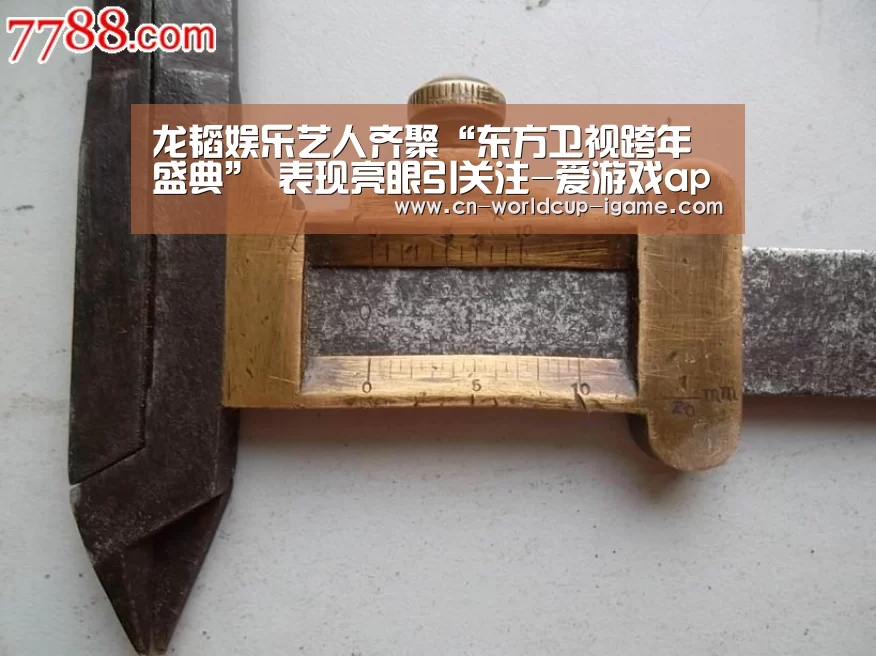 龙韬娱乐艺人齐聚“东方卫视跨年盛典” 表现亮眼引关注-爱游戏app