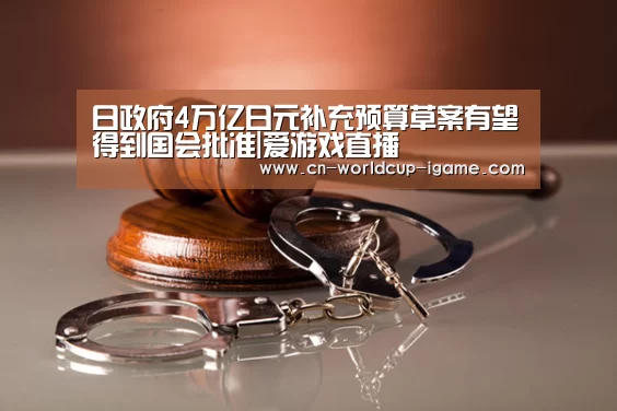 日政府4万亿日元补充预算草案有望得到国会批准|爱游戏直播(图3) 爱游戏棋牌