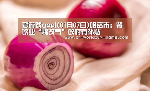 爱游戏棋牌