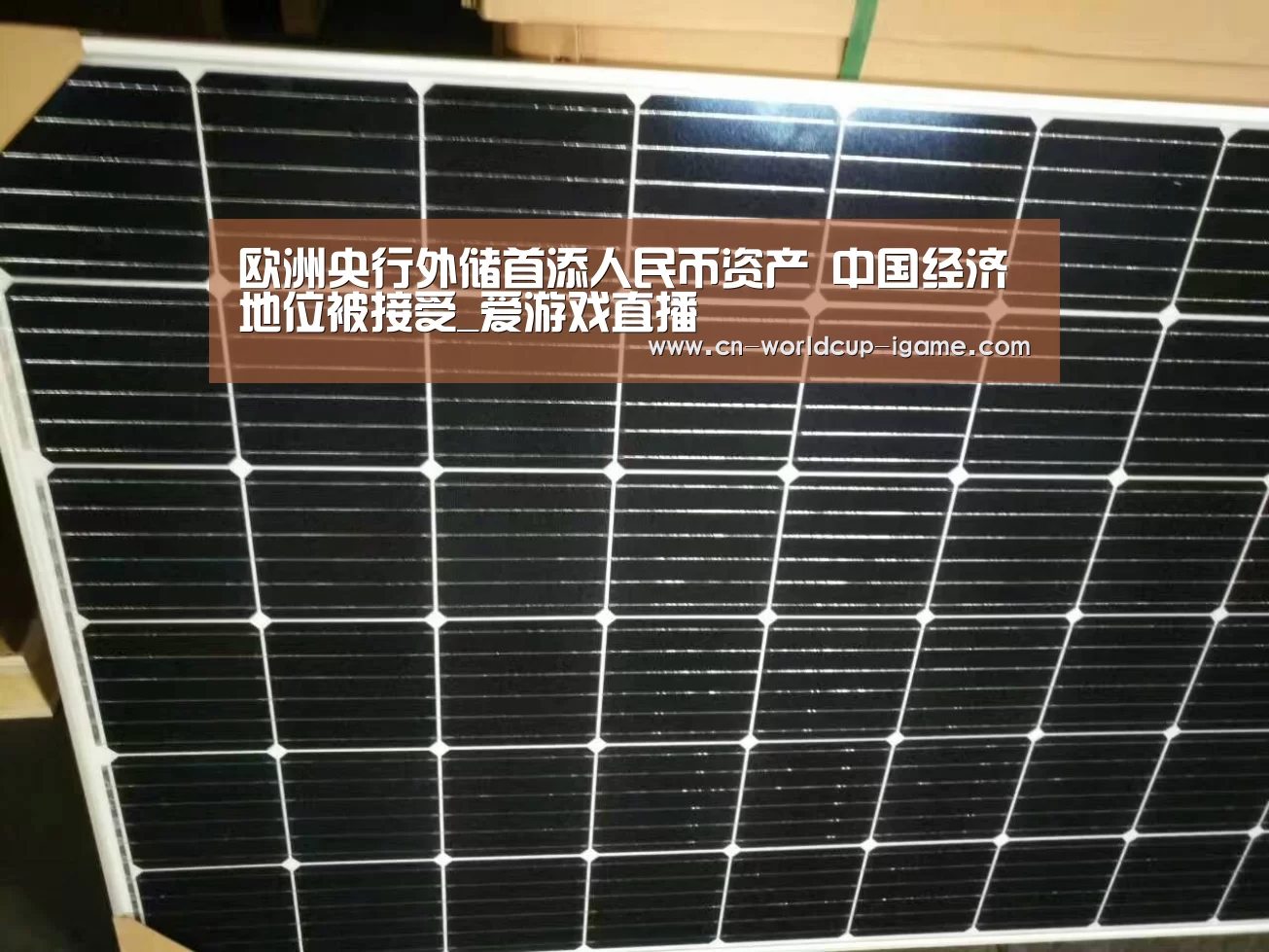 欧洲央行外储首添人民币资产 中国经济地位被接受_爱游戏直播(图4) 爱游戏官网