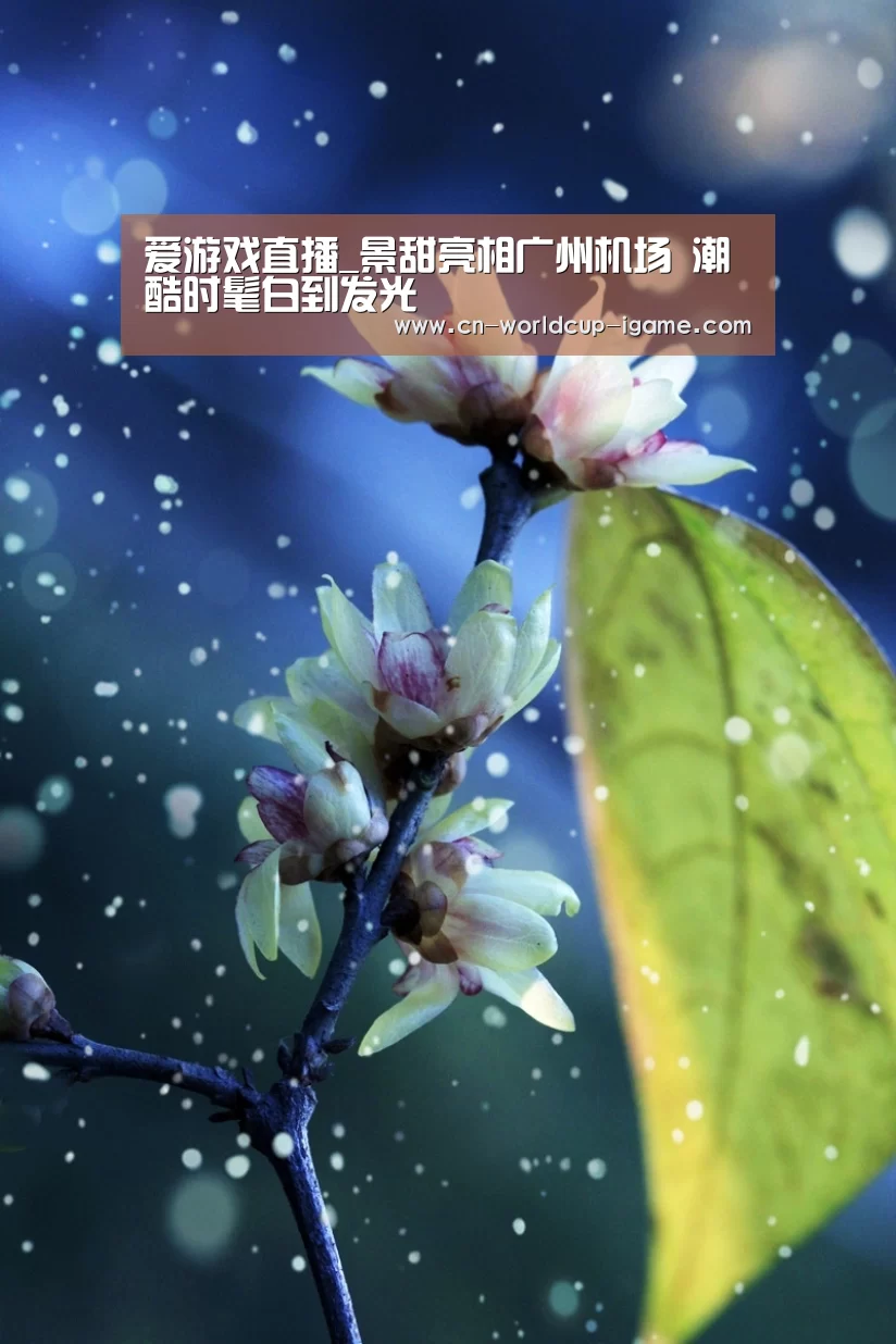 爱游戏直播_景甜亮相广州机场 潮酷时髦白到发光(图1) 爱游戏app