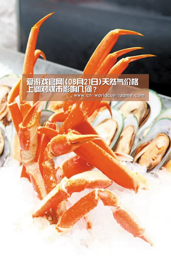 爱游戏官网|(08月21日)天然气价格上调对煤市影响几何?(图2) 爱游戏直播