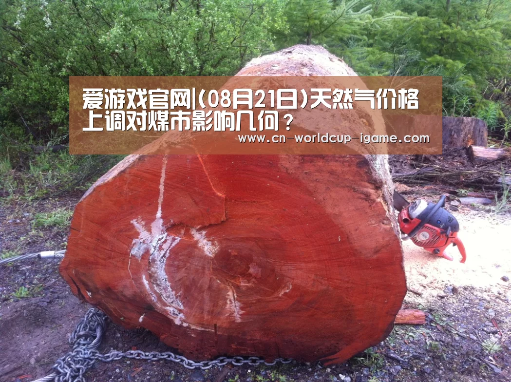 爱游戏官网|(08月21日)天然气价格上调对煤市影响几何?(图3) 爱游戏官网