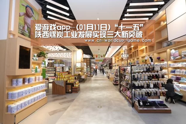 爱游戏app-(01月11日)“十一五”陕西煤炭工业发展实现三大新突破(图2) 爱游戏直播