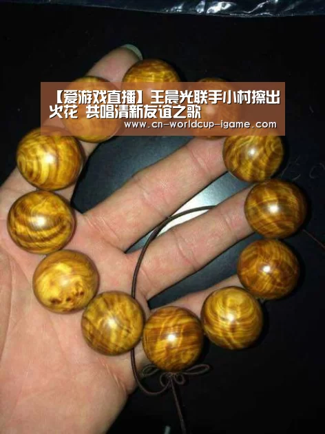 【爱游戏直播】王晨光联手小村擦出火花 共唱清新友谊之歌(图1) 爱游戏直播