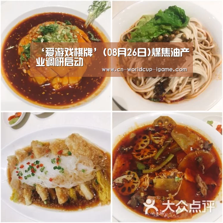 ‘爱游戏棋牌’(08月26日)煤焦油产业调研启动(图3) 爱游戏app
