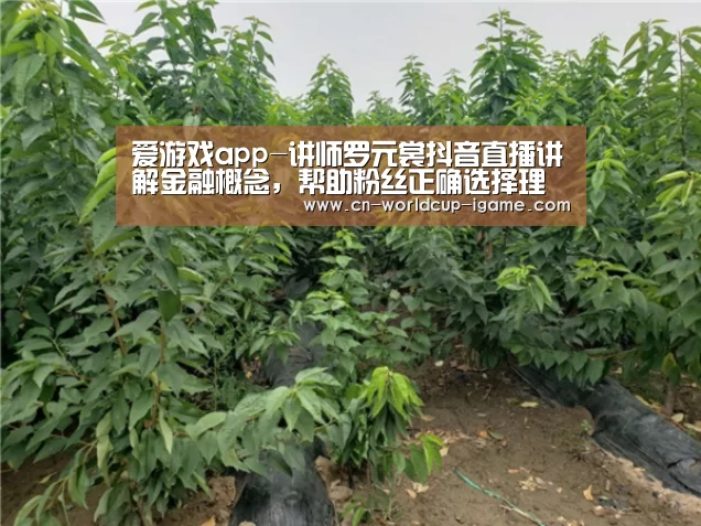 爱游戏app-讲师罗元裳抖音直播讲解金融概念,帮助粉丝正确选择理财产品