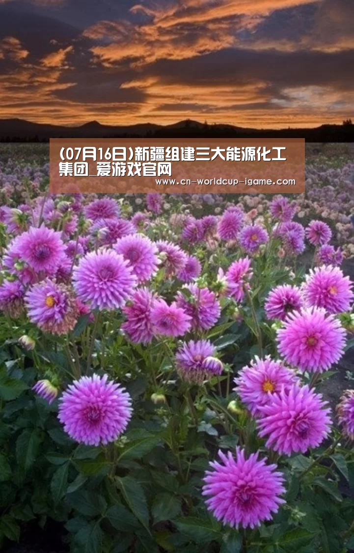 爱游戏app
